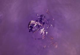 Purple-series-2017-04